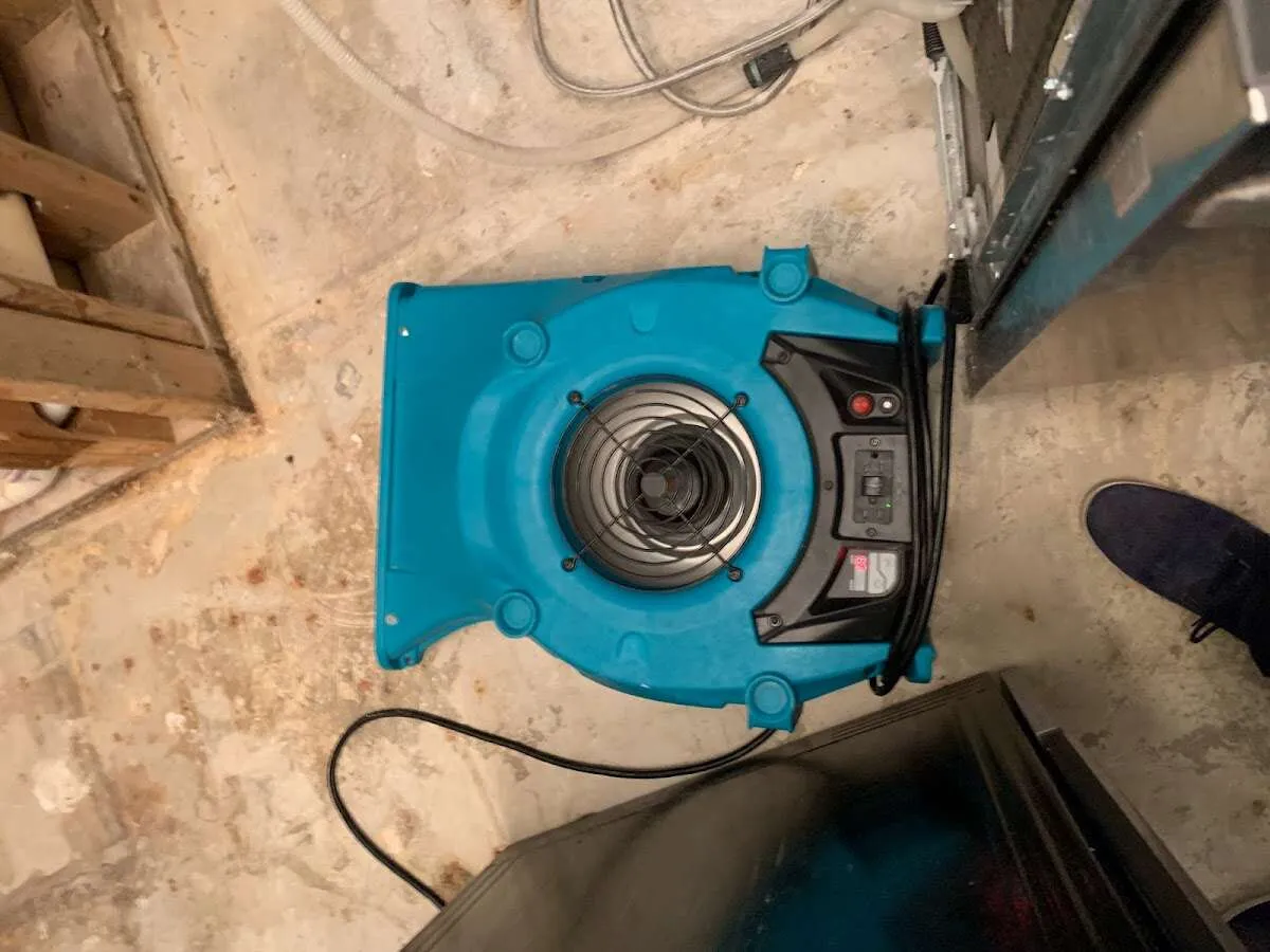 Air mover drying equipment for Mold Remediation & Removal in El Campo